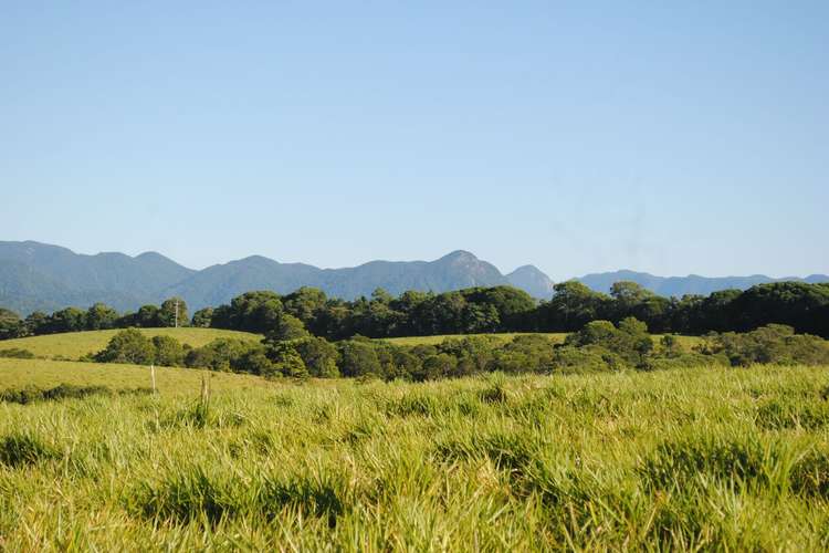 Main view of Homely residentialLand listing, 106 Pinnacle Rd, Julatten QLD 4871