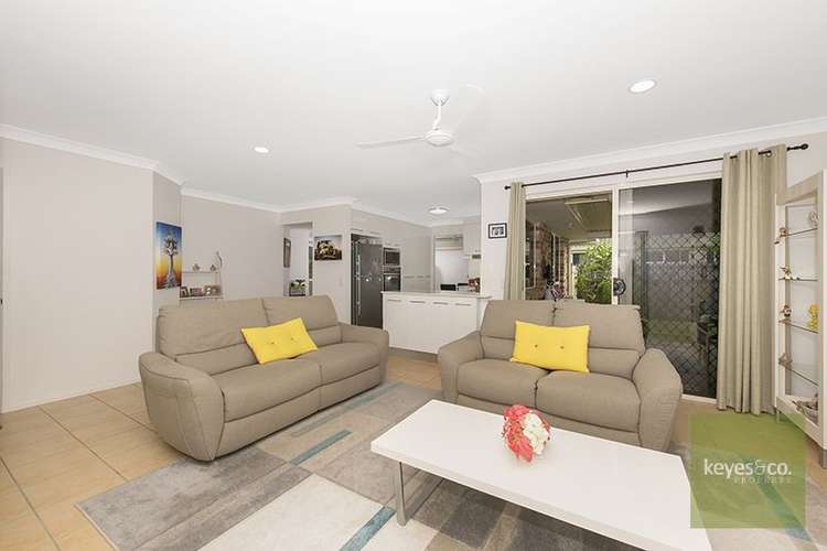 Main view of Homely house listing, 14 Sheperd Circuit, Kirwan QLD 4817