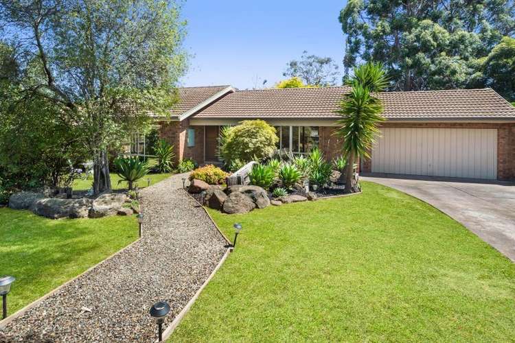 Main view of Homely house listing, 24 Thurleigh Avenue, Croydon South VIC 3136