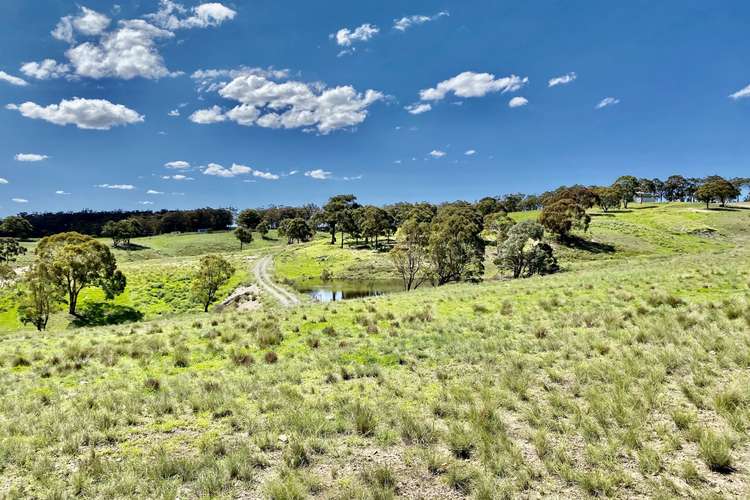 Fourth view of Homely lifestyle listing, 100 Graham Lane, Marulan NSW 2579