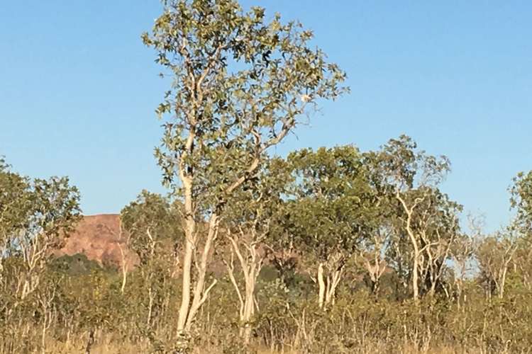 Lot 200 Egret Close, Kununurra WA 6743