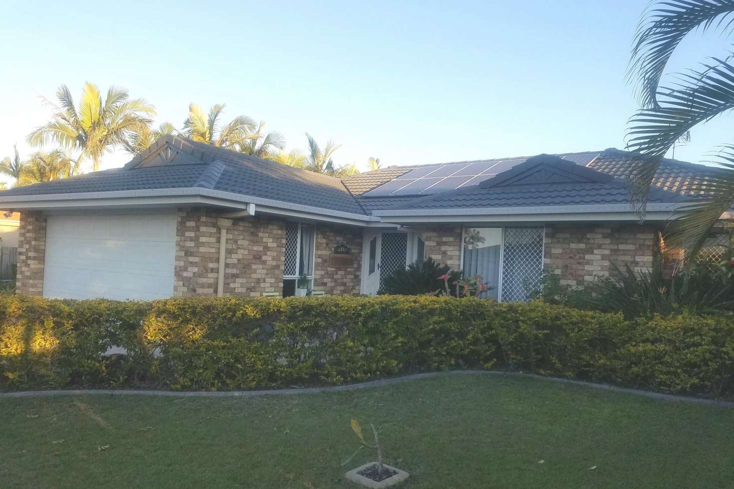 Main view of Homely house listing, 39 Royal Palm Drive, Steiglitz QLD 4207