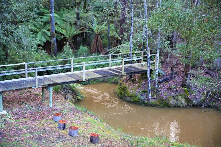 Main view of Homely acreageSemiRural listing, 584 Reservoir Drive, Wynyard TAS 7325