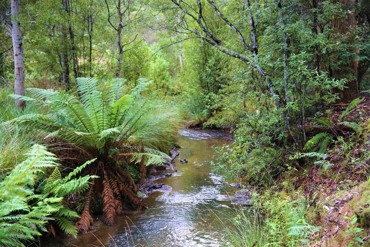 Third view of Homely acreageSemiRural listing, 584 Reservoir Drive, Wynyard TAS 7325