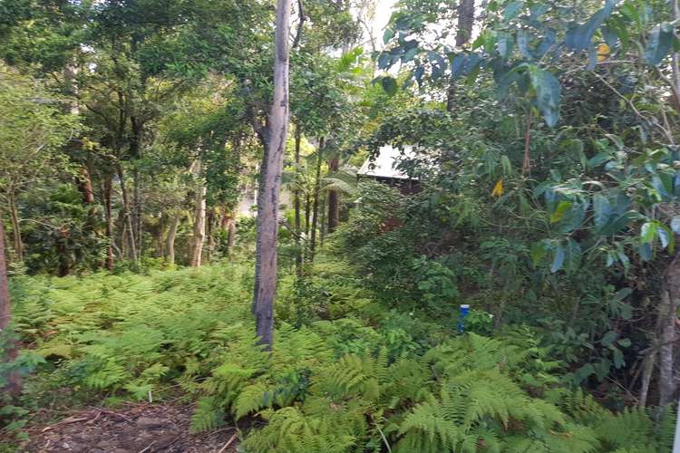 Seventh view of Homely residentialLand listing, 14 First Ridge Road, Smiths Lake NSW 2428