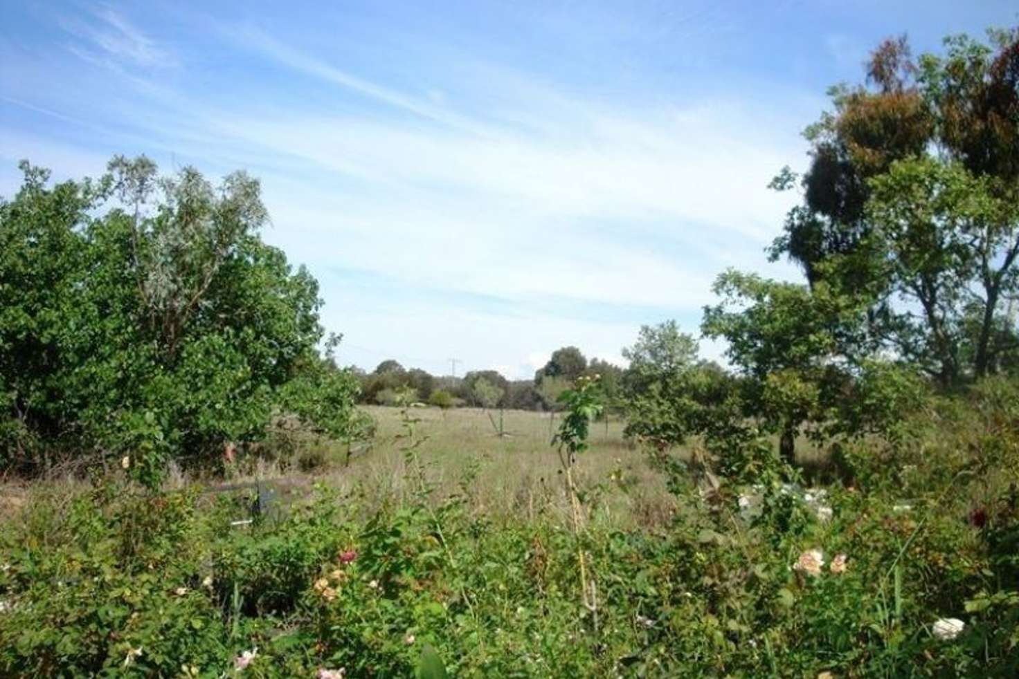 Main view of Homely acreageSemiRural listing, 68 Brightview Road, Regency Downs QLD 4341