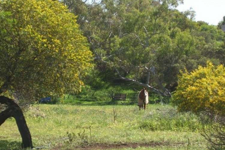 Main view of Homely house listing, Lot 33 Rose Street, Isseka WA 6535