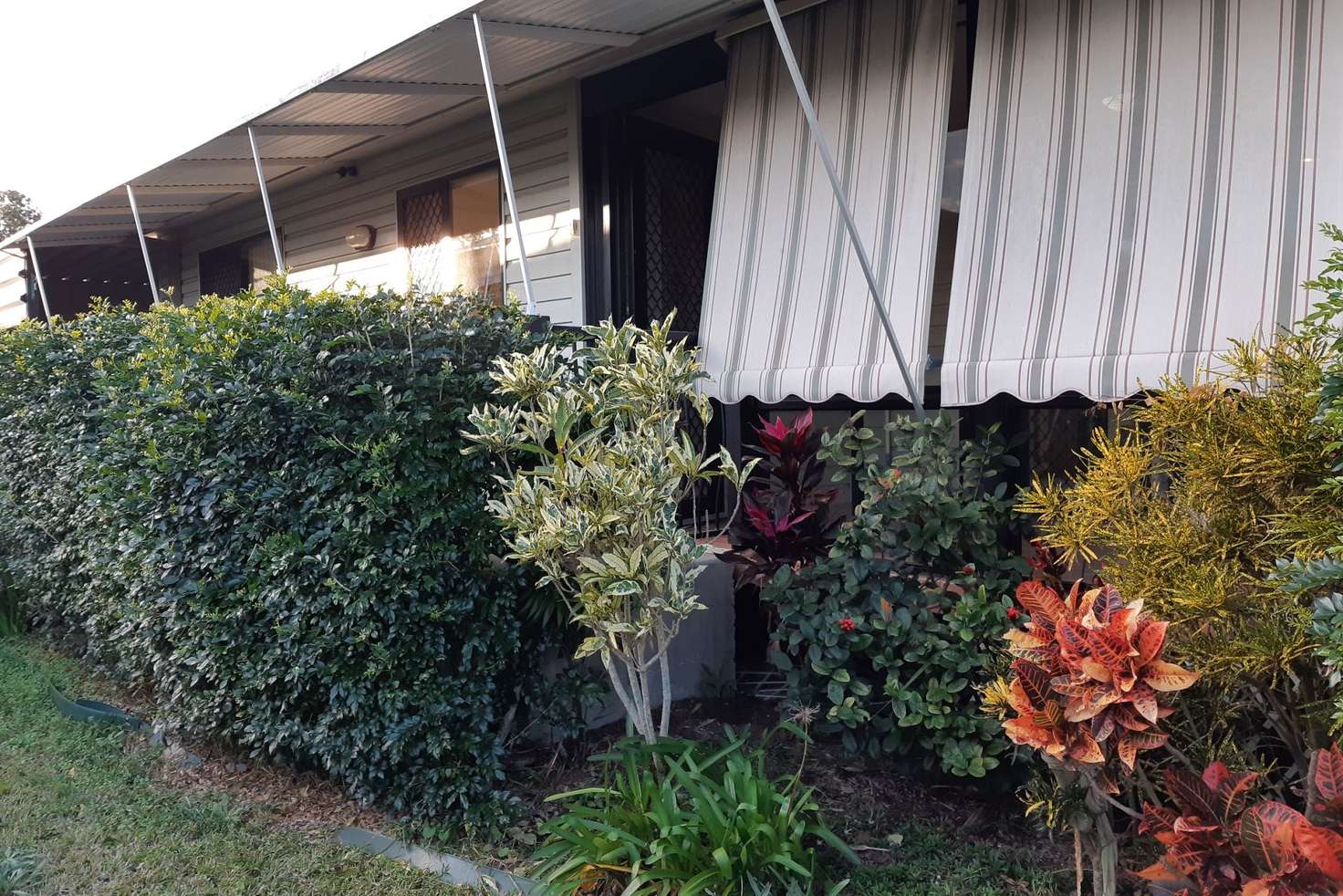 Main view of Homely villa listing, 71/213 Brisbane Terrace, Goodna QLD 4300
