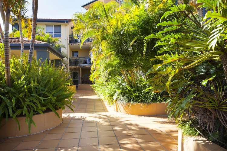 Second view of Homely unit listing, 4/31 Mawarra St, Chevron Island QLD 4217