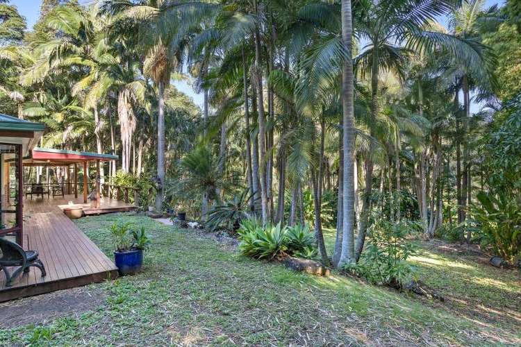 Second view of Homely house listing, 115 Brushbox Drive, Mullumbimby Creek NSW 2482