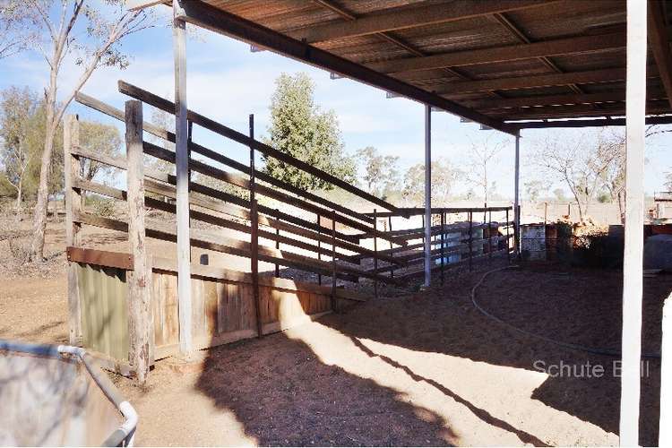 Sixth view of Homely acreageSemiRural listing, 378 Dappo Road, Narromine NSW 2821