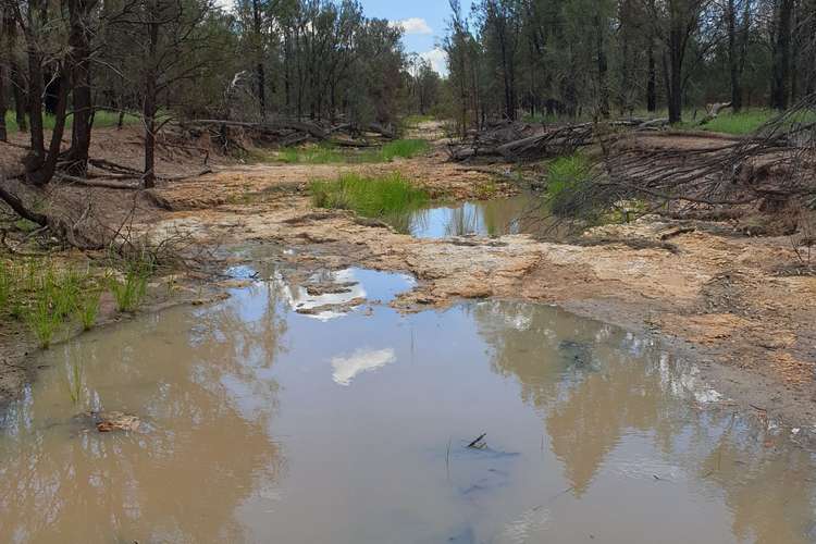 Fourth view of Homely lifestyle listing, Lot 16 Surat Development Rd, Tara QLD 4421