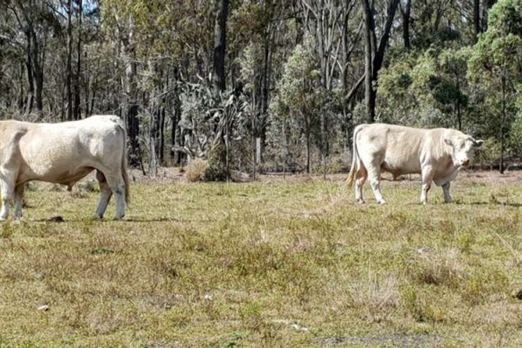 Third view of Homely residentialLand listing, 149 Whitaker Road, South Nanango QLD 4615