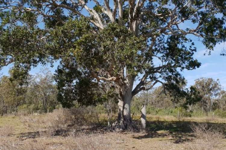 Fifth view of Homely residentialLand listing, 149 Whitaker Road, South Nanango QLD 4615