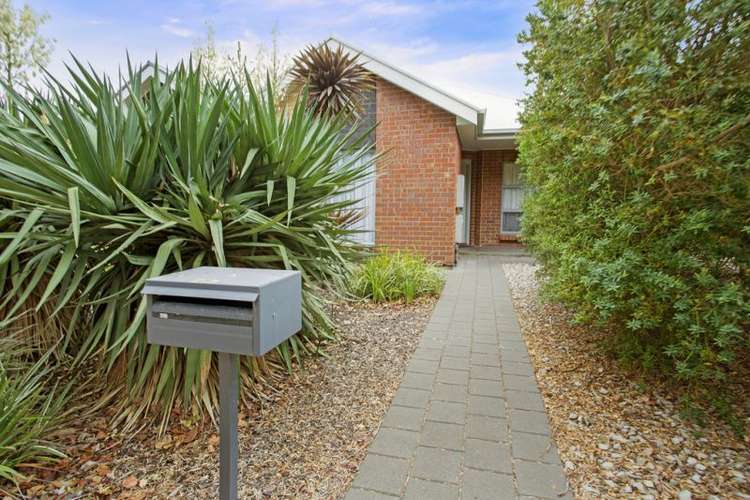 Main view of Homely semiDetached listing, 35b Flinders Street, Edwardstown SA 5039