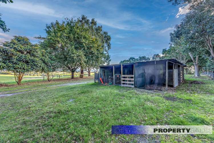 Sixth view of Homely acreageSemiRural listing, 35 Alder Road, Tanjil South VIC 3825