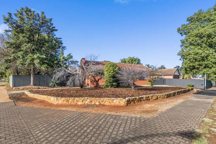 Main view of Homely house listing, 24 Hamblynn Road, Elizabeth Downs SA 5113