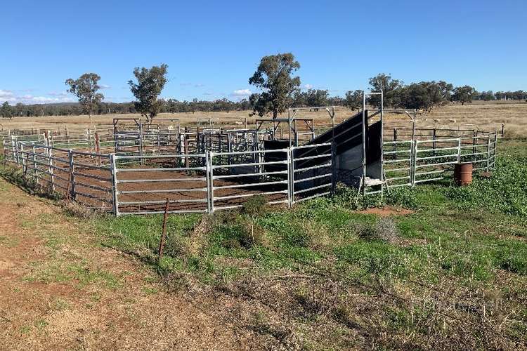 Glengarry 30 Brummagen Rd, Narromine NSW 2821