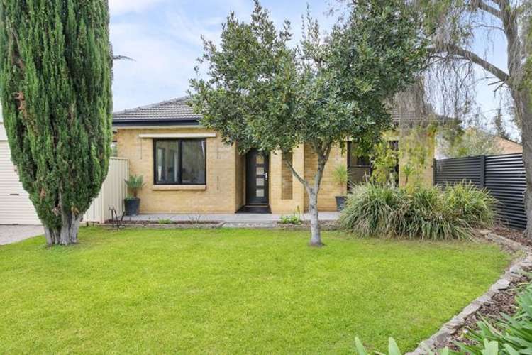 46 Murray Terrace, Oaklands Park SA 5046