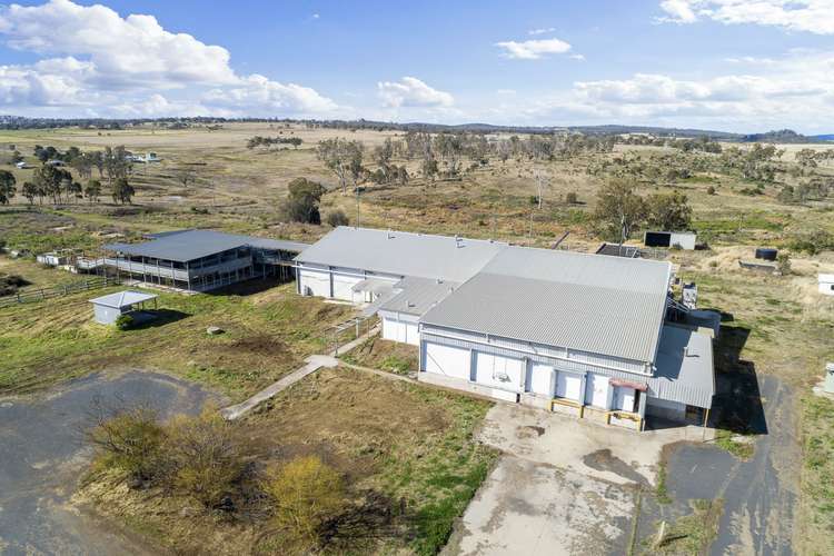 Main view of Homely horticulture listing, 168 Boundary Road, Pittsworth QLD 4356