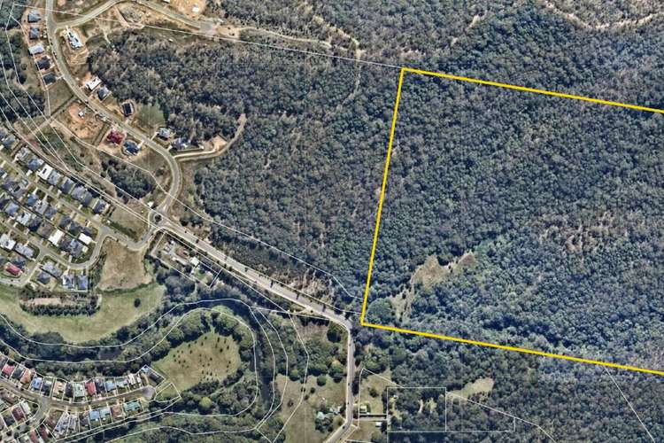 Main view of Homely acreageSemiRural listing, Lot 111 Finch Road, Canungra QLD 4275