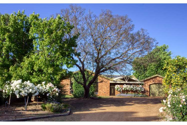 124 Moss Ave, Narromine NSW 2821