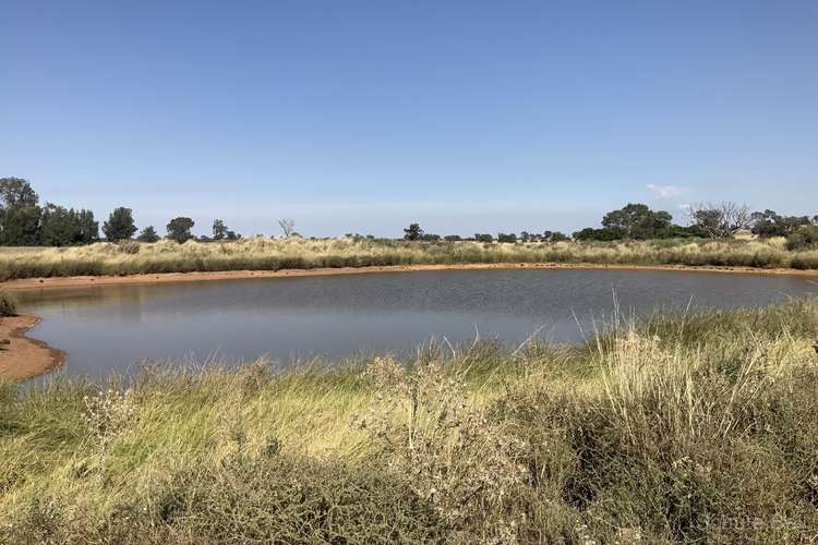 Main view of Homely ruralOther listing, . Glenlossie, Narromine NSW 2821