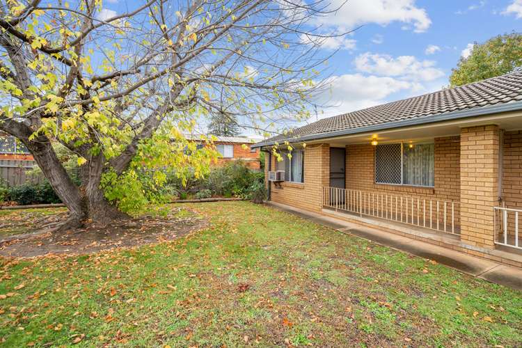 7/8 Joyes Place, Tolland NSW 2650