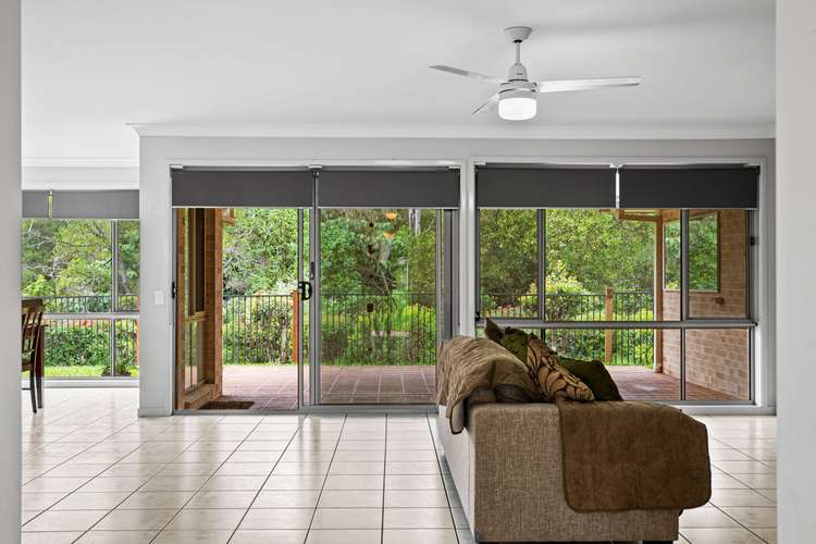 Third view of Homely house listing, 41 Kirri Avenue, Petrie QLD 4502