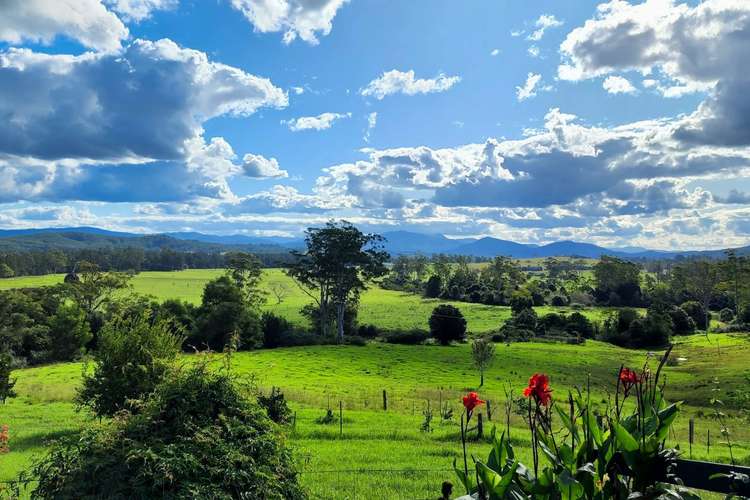 Fifth view of Homely acreageSemiRural listing, 369 Ballengara Bransdon Road, Cooperabung NSW 2441