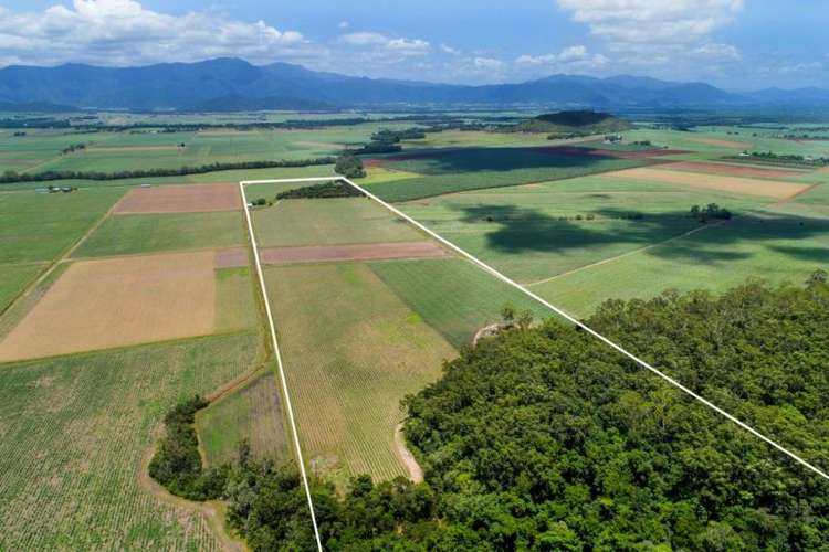Main view of Homely acreageSemiRural listing, 1 Morgan Road, Gordonvale QLD 4865