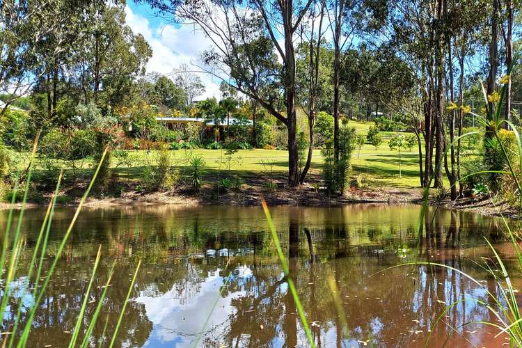 Main view of Homely acreageSemiRural listing, 217-229 Beattie Road, Mundoolun QLD 4285