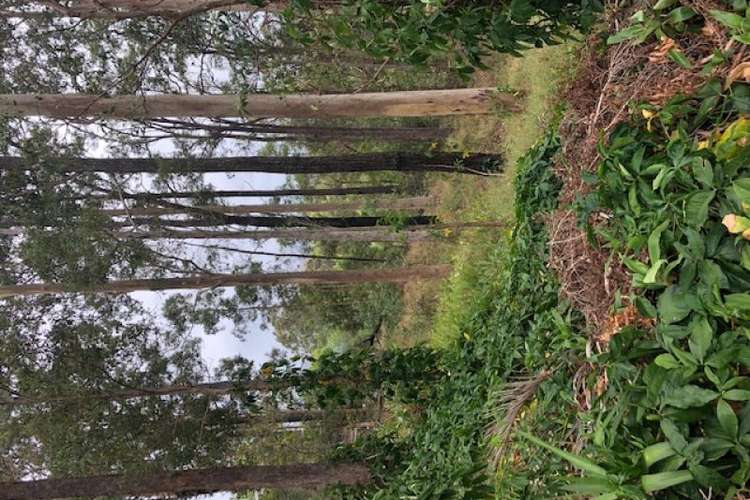 Seventh view of Homely residentialLand listing, Lot 87 Hobbs Road, Buderim QLD 4556
