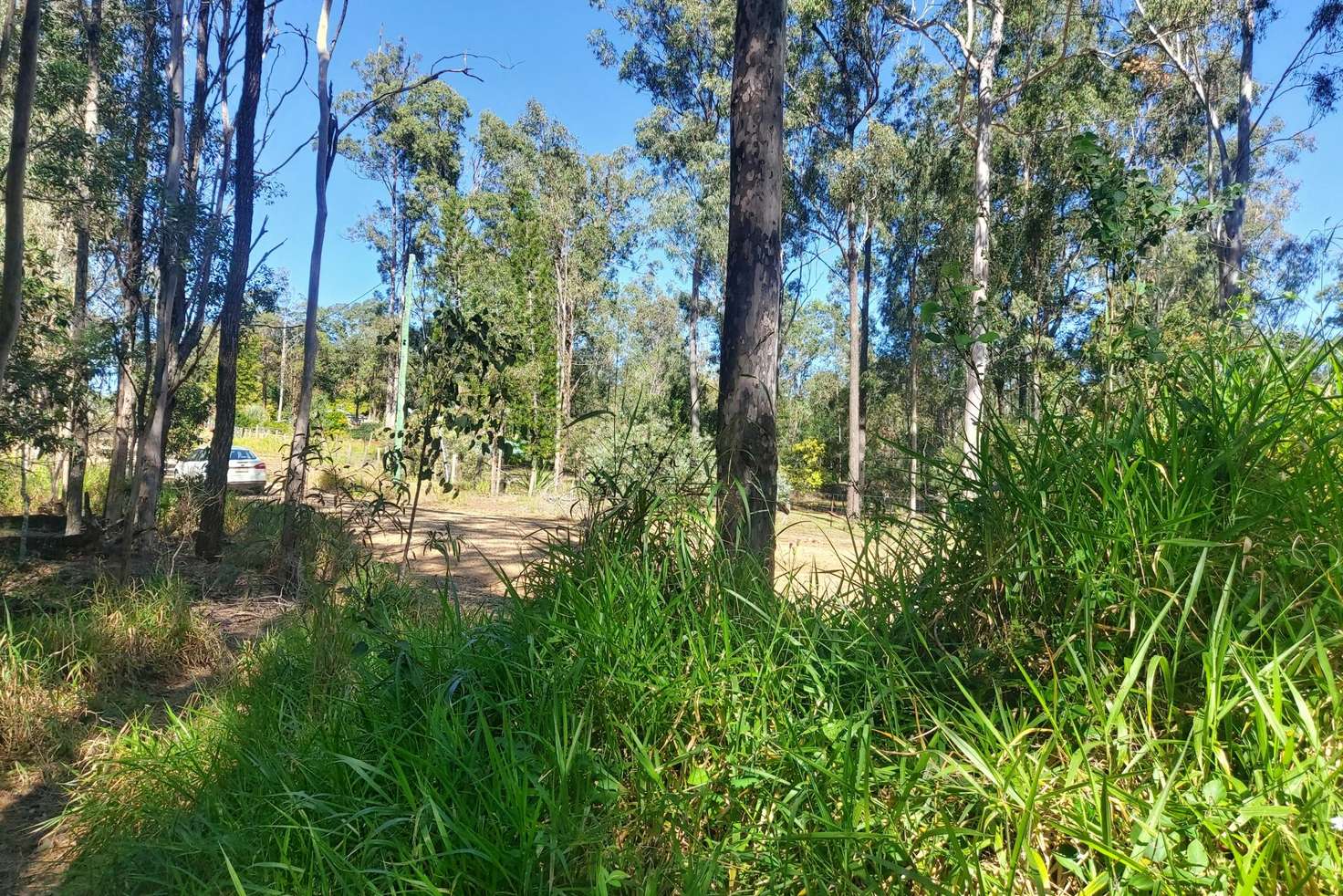 Main view of Homely residentialLand listing, Lot 726 Arbortwentyeight Road, Glenwood QLD 4570