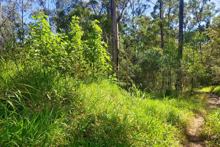 Seventh view of Homely residentialLand listing, Lot 726 Arbortwentyeight Road, Glenwood QLD 4570