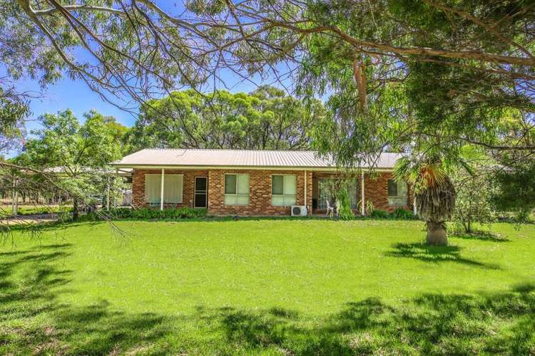 206 Dahwilly Road, Deniliquin NSW 2710