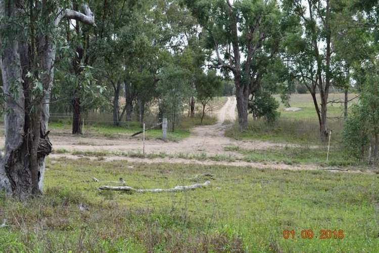Fifth view of Homely ruralOther listing, 76 Roche Creek Rd, Wandoan QLD 4419