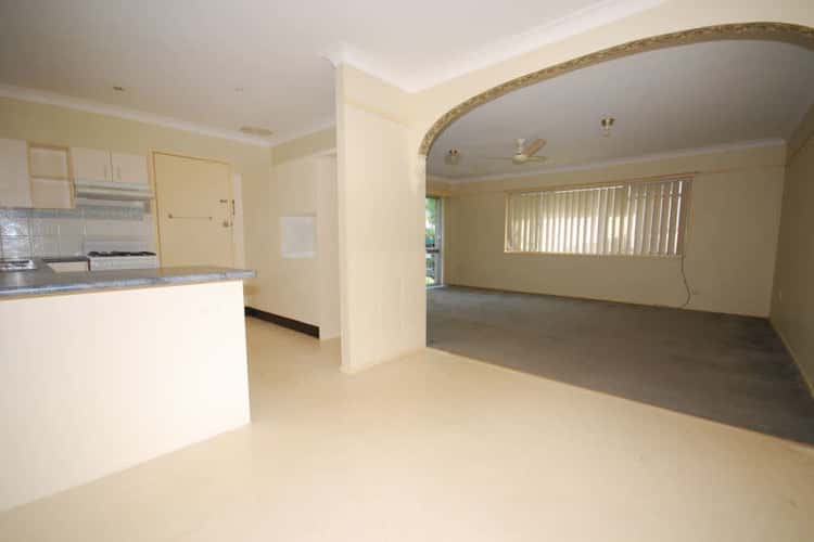 Fourth view of Homely house listing, 31 Cawdor Street, Arana Hills QLD 4054