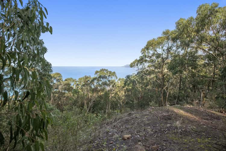Fourth view of Homely residentialLand listing, 1188 Great Ocean Road, Big Hill VIC 3231