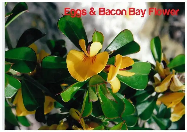 Seventh view of Homely land listing, 31 Craypoint Parade, Eggs And Bacon Bay TAS 7112