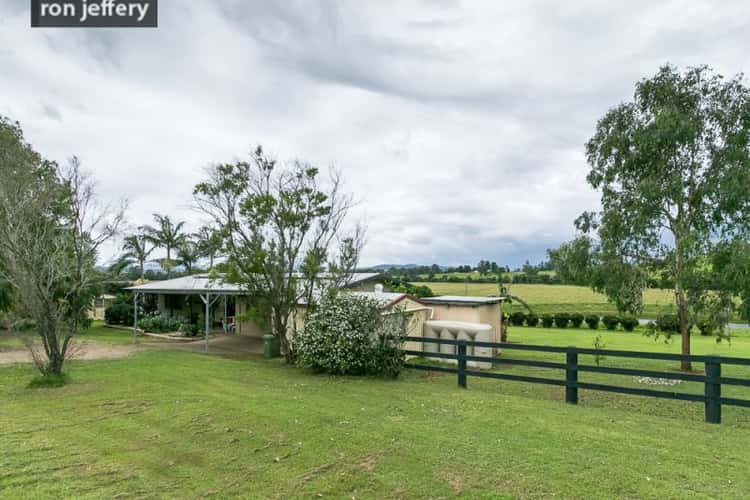 Second view of Homely acreageSemiRural listing, 2105 Mary Valley Road, Kandanga QLD 4570