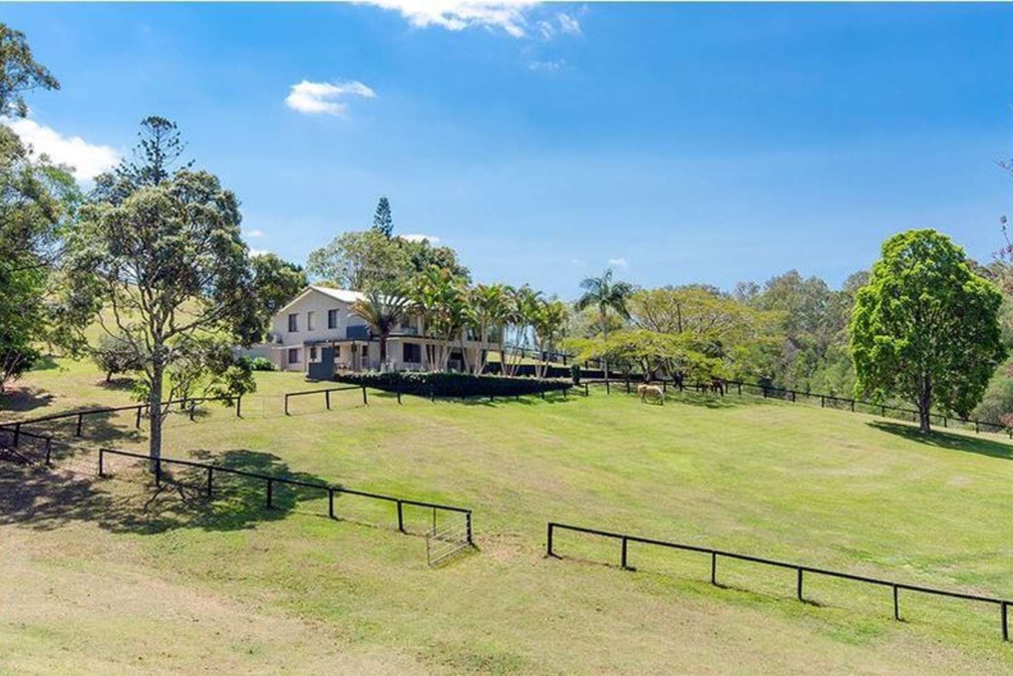 Main view of Homely house listing, 9 Canungra Court, Clagiraba QLD 4211