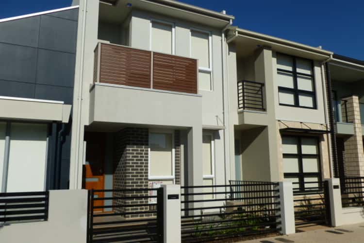 Main view of Homely terrace listing, 31 Tiara Street, Lightsview SA 5085