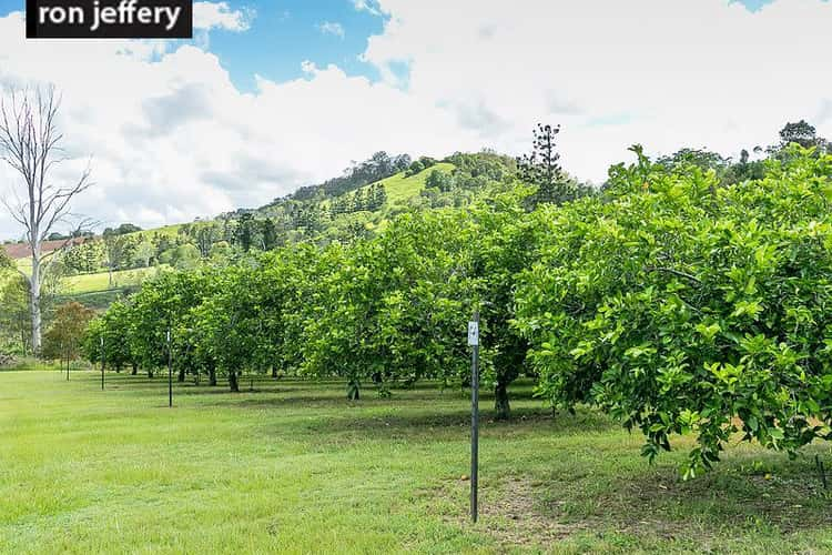 Second view of Homely acreageSemiRural listing, 372 Kandanga Amamoor Road, Amamoor QLD 4570