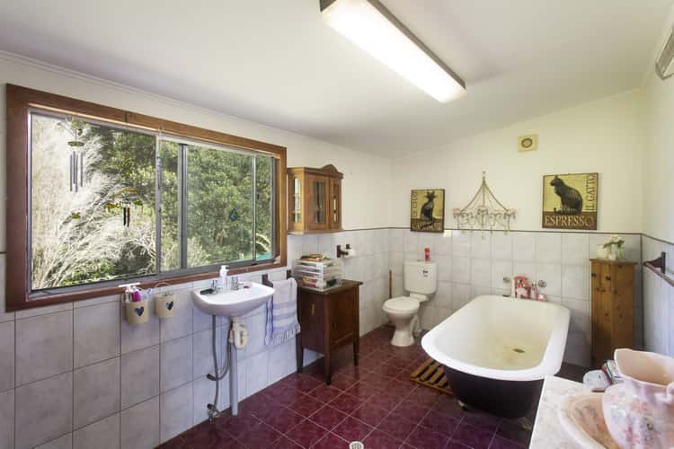 Fourth view of Homely ruralOther listing, 1136 South Arm Road, Bowraville NSW 2449