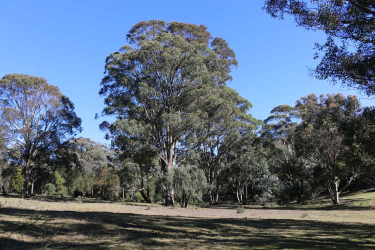 Third view of Homely acreageSemiRural listing, 1621 Brayton Road, Brayton NSW 2579