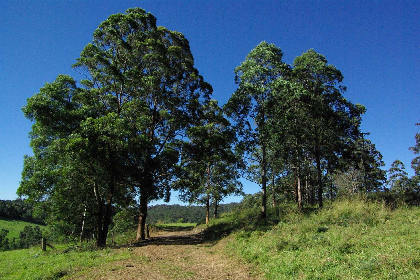 Main view of Homely residentialLand listing, Lot 3 Schultz Road, Billys Creek NSW 2453