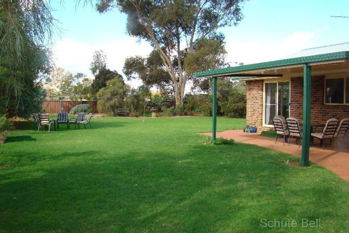 Main view of Homely house listing, 221 Dandaloo St, Narromine NSW 2821