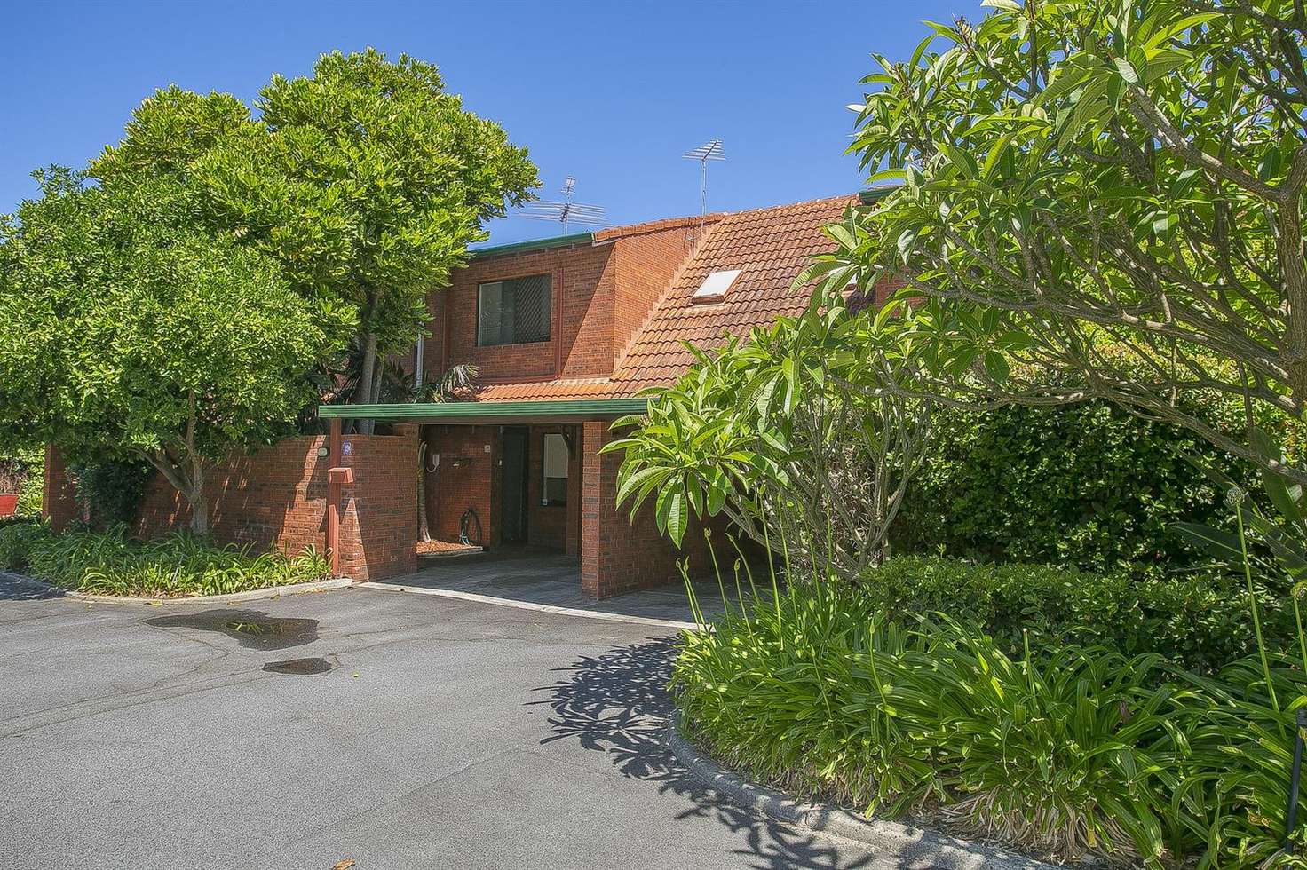 Main view of Homely townhouse listing, 19 Telopea Lane, Wembley WA 6014