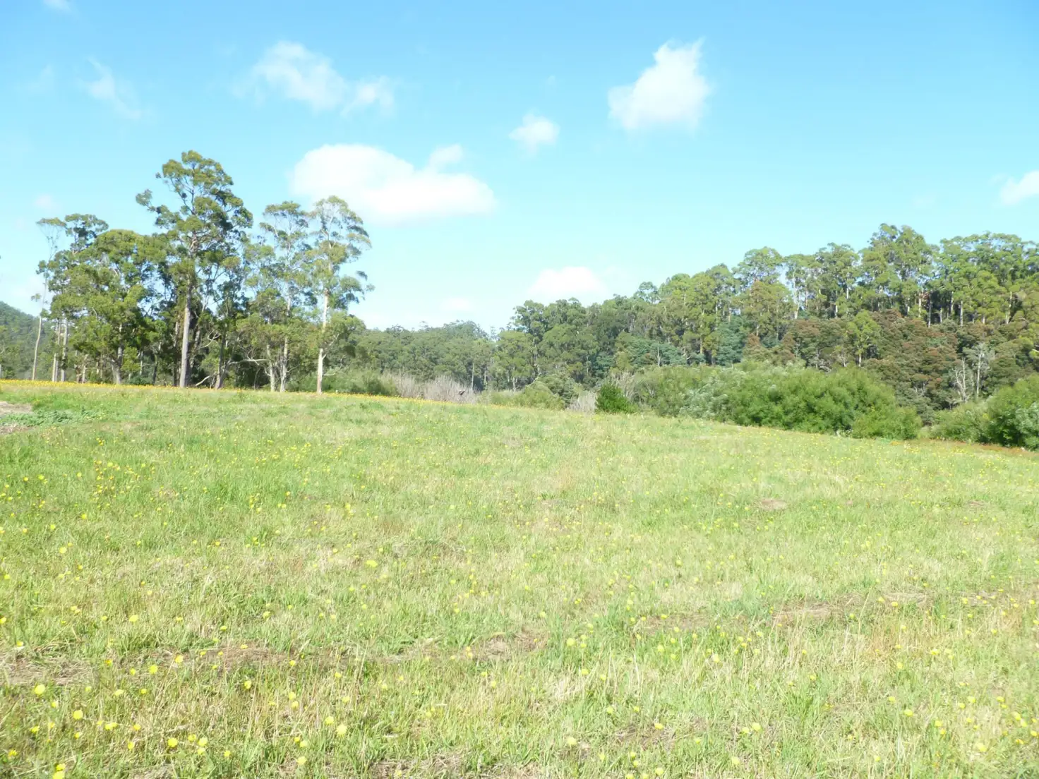 Main view of Homely land listing, Lot 16 Collins Way, Tugrah TAS 7310